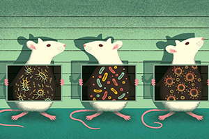 Mouse microbes may make scientific studies harder to replicate