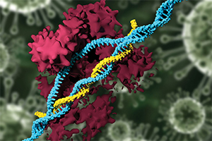 Precision CRISPR Tools Make the Cut