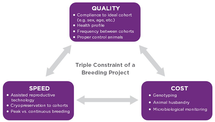 animal model breeding plan constraints