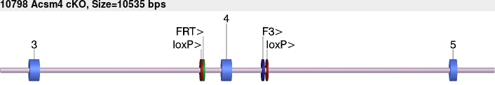 10798cko-allele.png