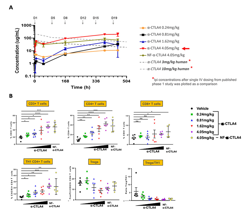 Immunophenotyping and anti-CTLA4 human immune response in huNOG-EXL mice