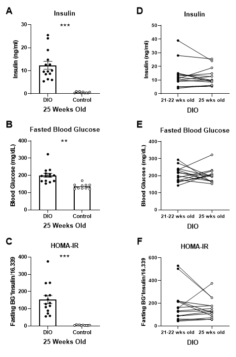 Metabolic parameters in Taconic's Diet Induced Obese (DIO) B6 mouse