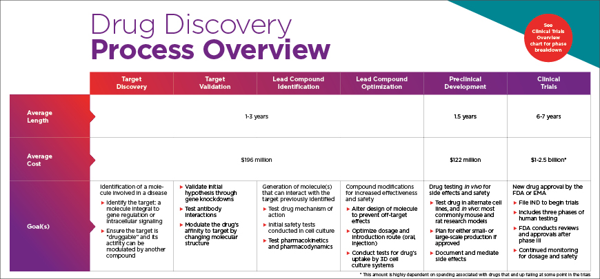 Drug Discovery Process Overview