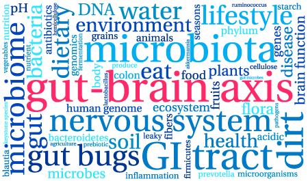 Microbiome Gut Brain Axis Taconic Word Cloud