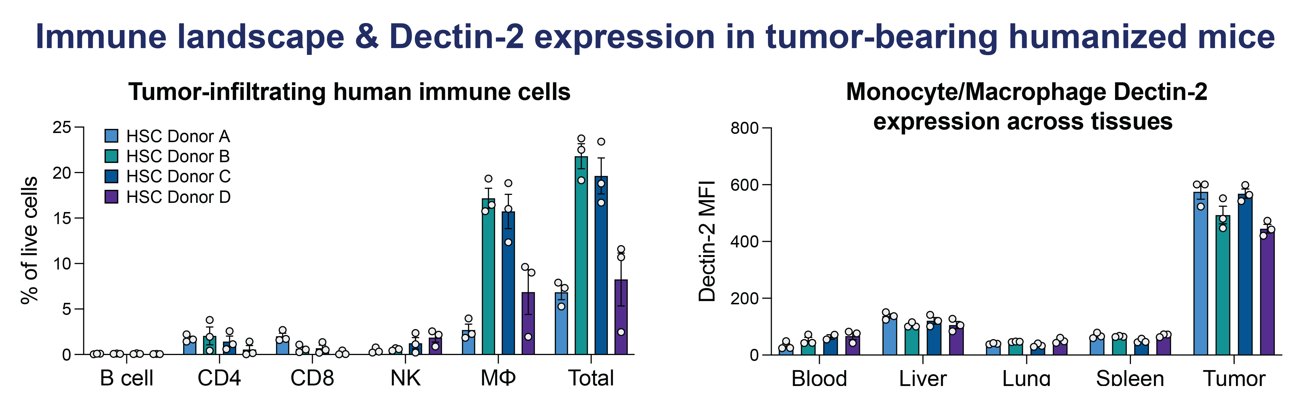 image for Immune landscape and Dectin-2 expression in tumor-bearing humanized mice