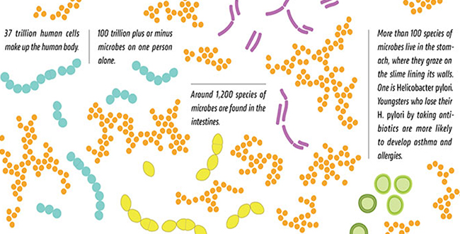 microbiome by the number