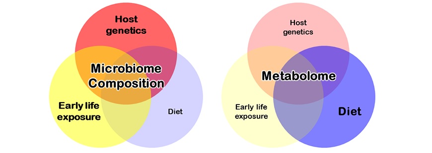 Differential effects of early life experience, genetics and diet on microbial diversity vs. metabolomics