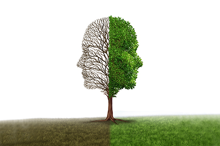 Tauopathy Alzheimer's Disease Models Yield Contrasting Results