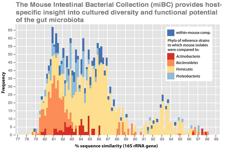 cultured diversity and functional potential of the gut microbiota