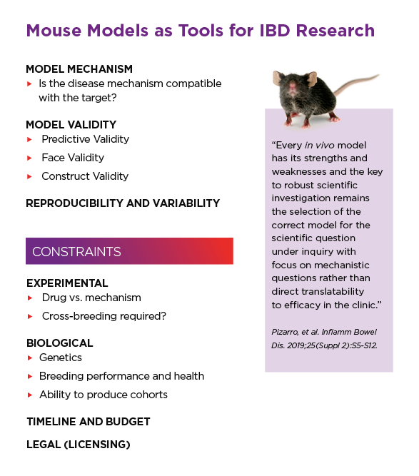 Mouse Models as Tools for IBD Research