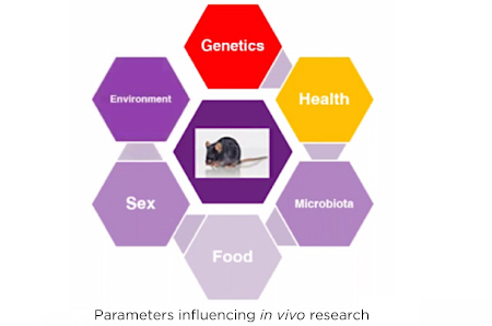 Parameters influencing in vivo research