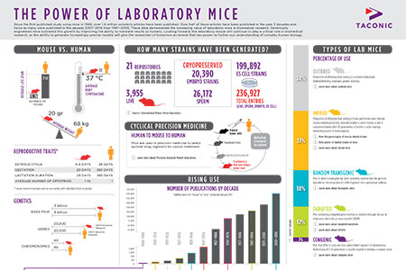 The Power of Laboratory Mice Infographic