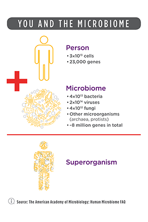 Introduction to Translational Microbiome Research Infographic